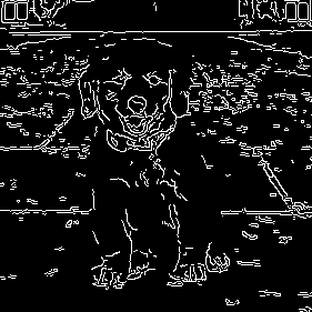 annotation demo canny